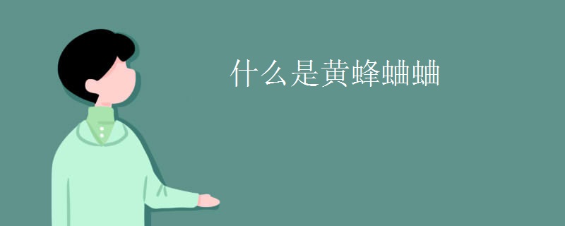 什么是黄蜂蛐蛐