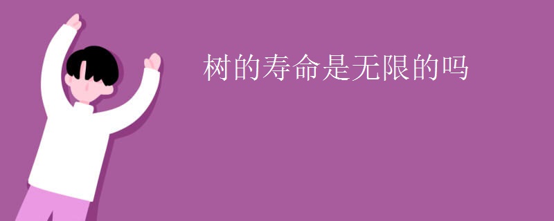 树的寿命是无限的吗