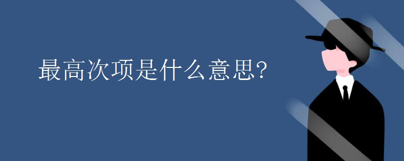 最高次项是什么意思?