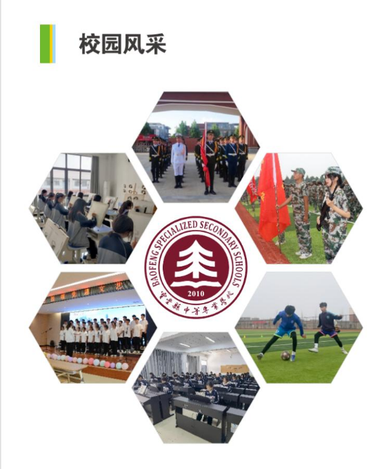 宝丰县中等专业学校招生章程