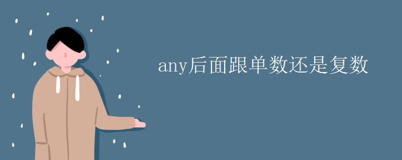any后面跟单数还是复数