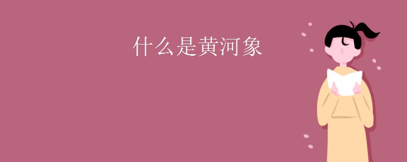什么是黄河象