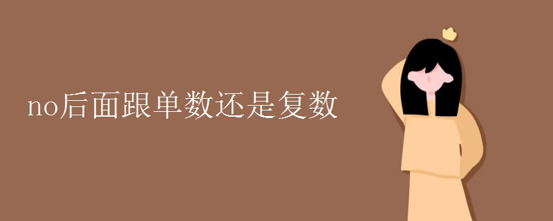 no后面跟单数还是复数