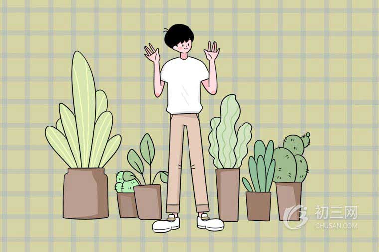 诗句病树前头万木春的寓意