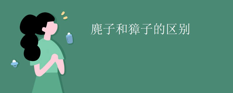 麂子和獐子的区别