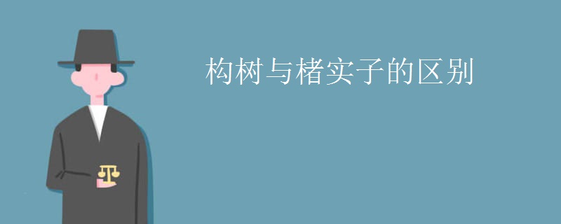 构树与楮实子的区别