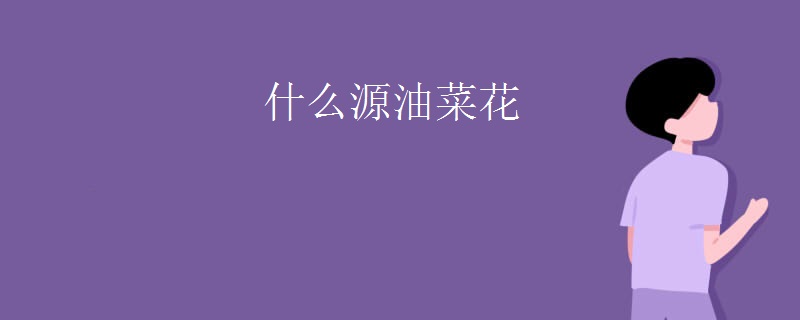 什么源油菜花
