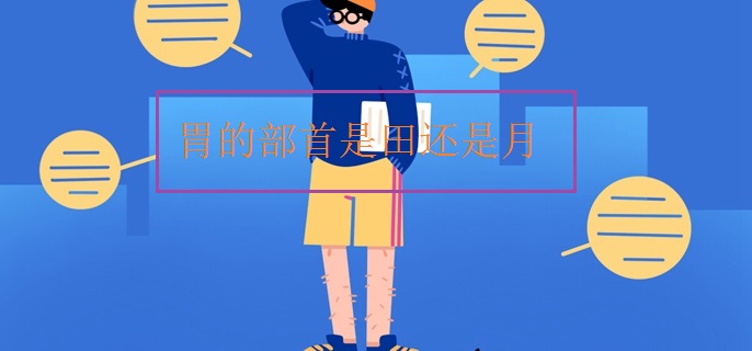 胃的部首是田还是月