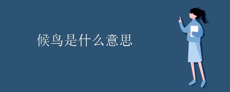 候鸟是什么意思
