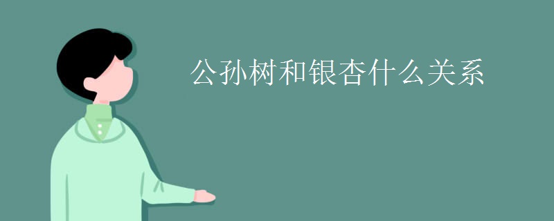 公孙树和银杏什么关系
