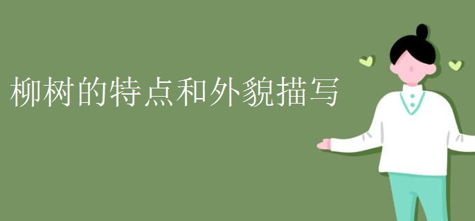 柳树的特点和外貌描写