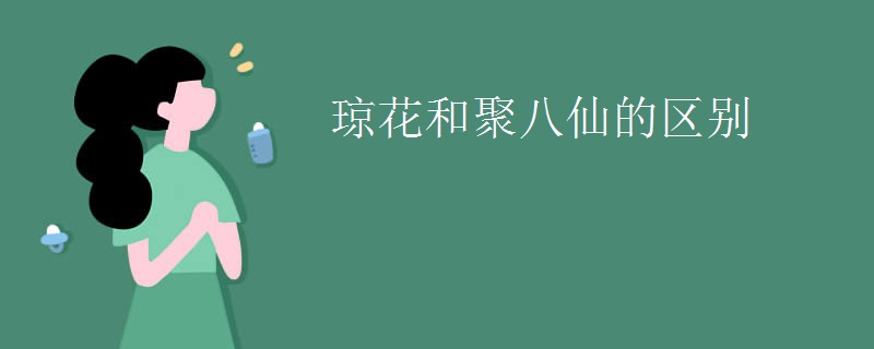 琼花和聚八仙的区别