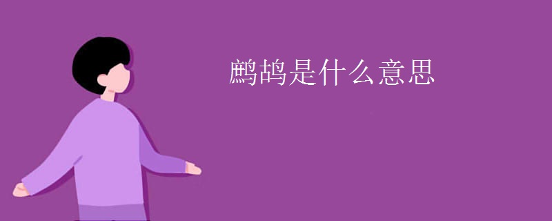鹧鸪是什么意思