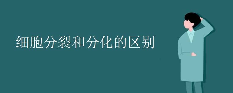 细胞分裂和分化的区别