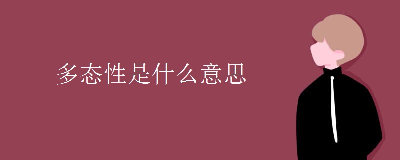多态性是什么意思