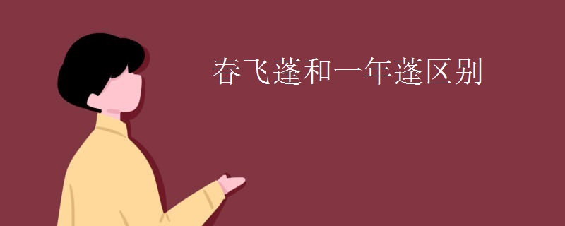 春飞蓬和一年蓬区别