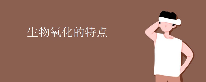 生物氧化的特点