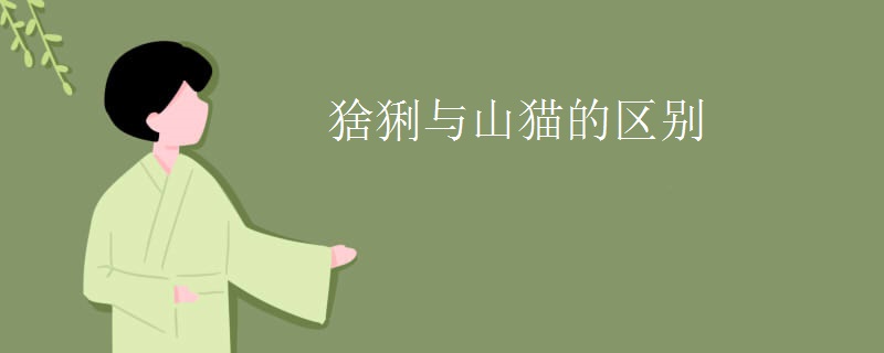 猞猁与山猫的区别
