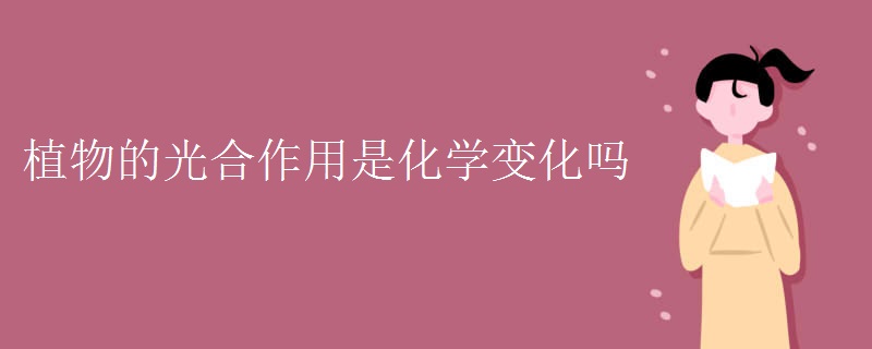 植物的光合作用是化学变化吗