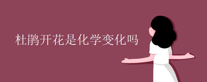 杜鹃开花是化学变化吗