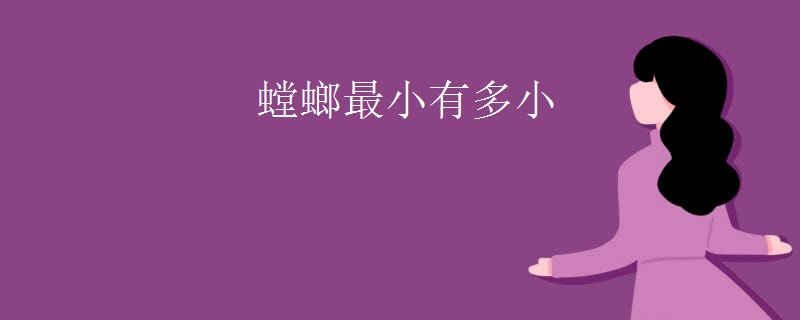 螳螂最小有多小