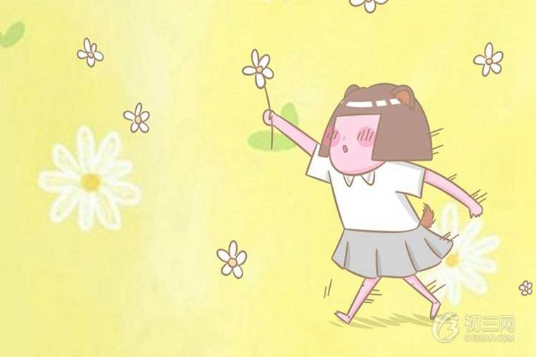 初中七年级数学知识点汇总