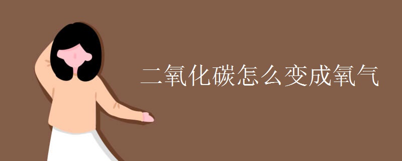 二氧化碳怎么变成氧气
