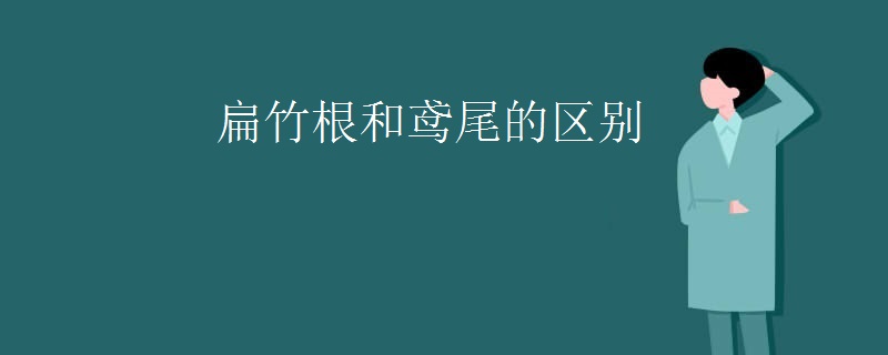 扁竹根和鸢尾的区别