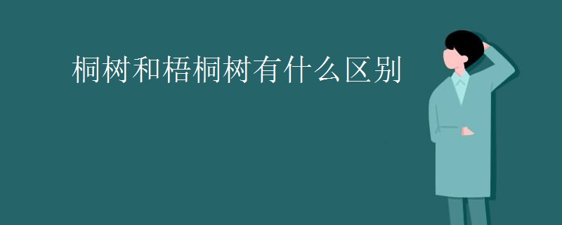 桐树和梧桐树有什么区别