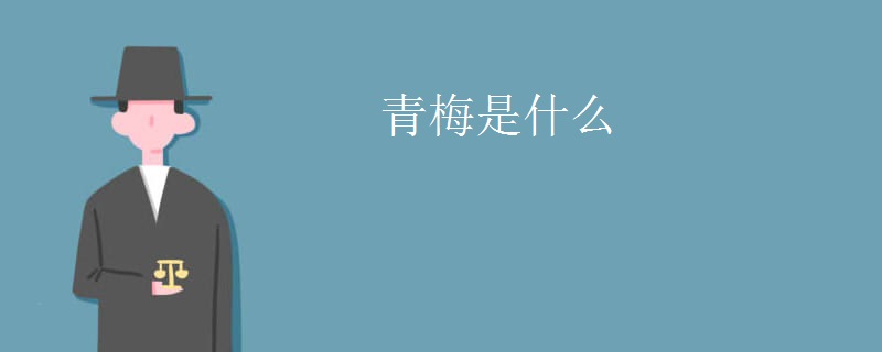 青梅是什么