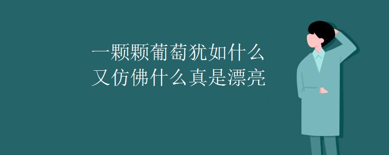 一颗颗葡萄犹如什么又仿佛什么真是漂亮