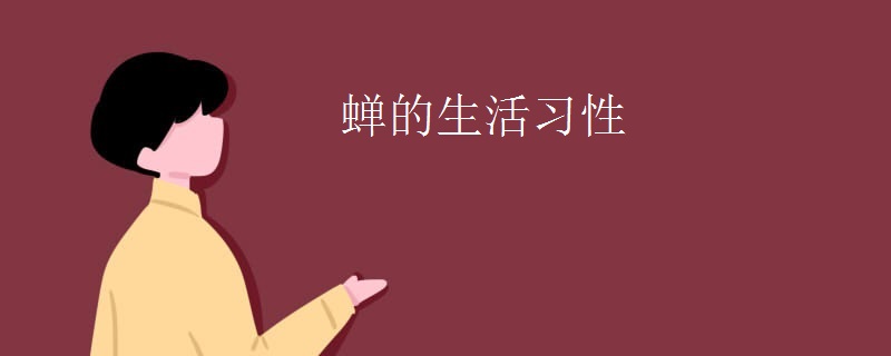 蝉的生活习性