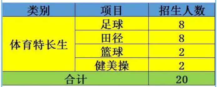 2023年广州市大同中学中考特长生招生计划公布