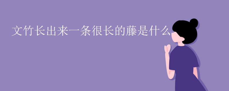 文竹长出来一条很长的藤是什么