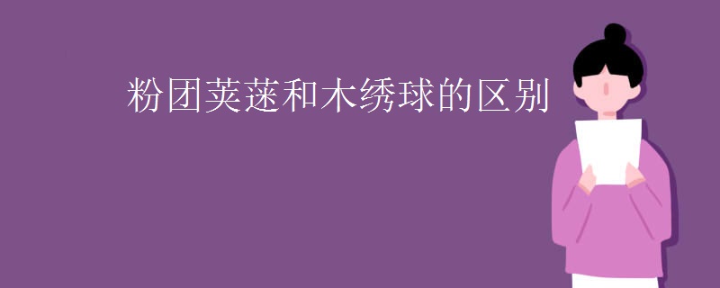粉团荚蒾和木绣球的区别