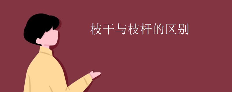 枝干与枝杆的区别