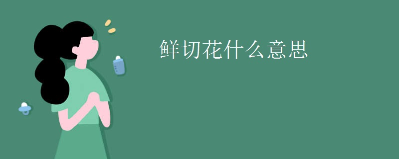 鲜切花什么意思