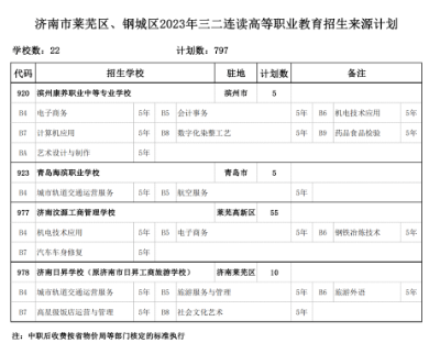 2023年济南莱芜区、钢城区中考招生计划