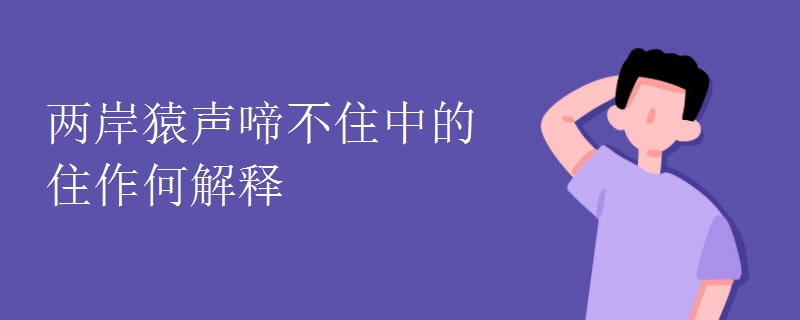 两岸猿声啼不住中的住作何解释