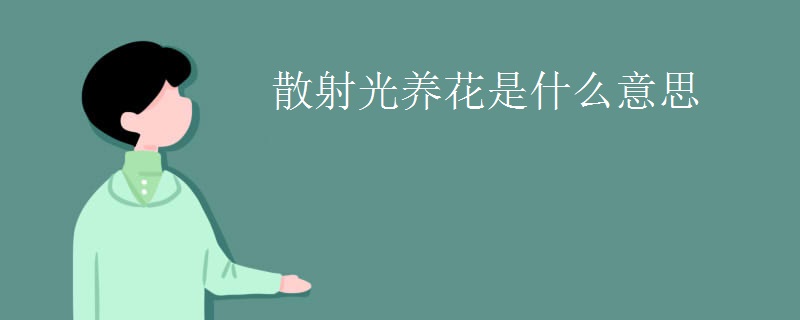 散射光养花是什么意思
