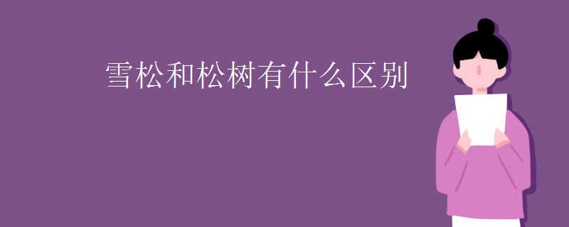 雪松和松树有什么区别