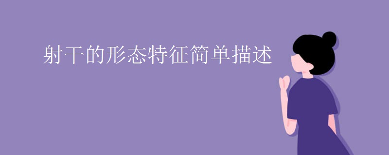 射干的形态特征简单描述