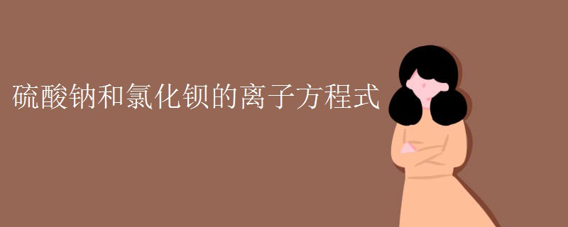 硫酸钠和氯化钡的离子方程式