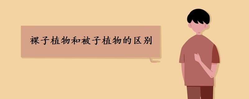裸子植物和被子植物的区别