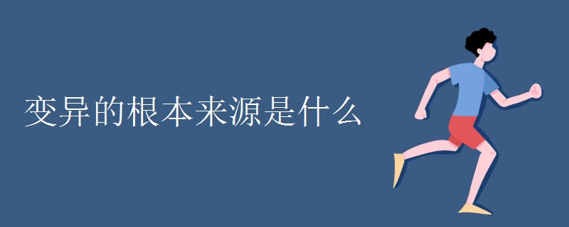 变异的根本来源是什么