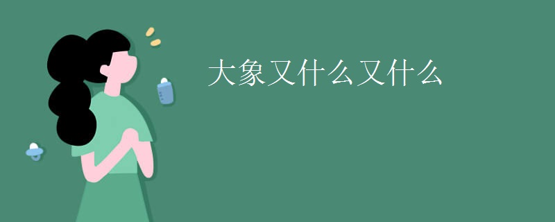大象又什么又什么