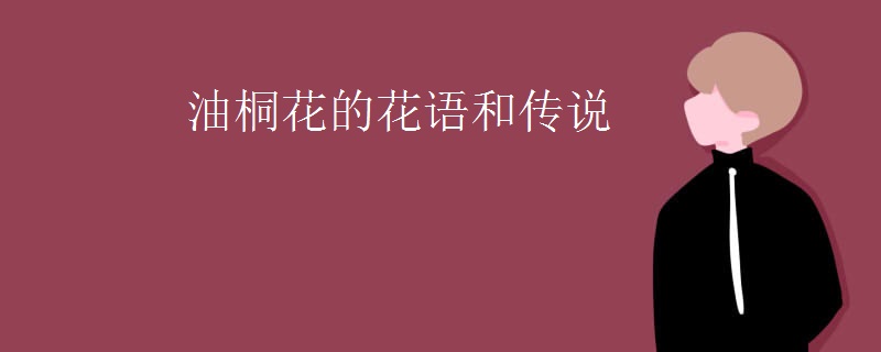 油桐花的花语和传说