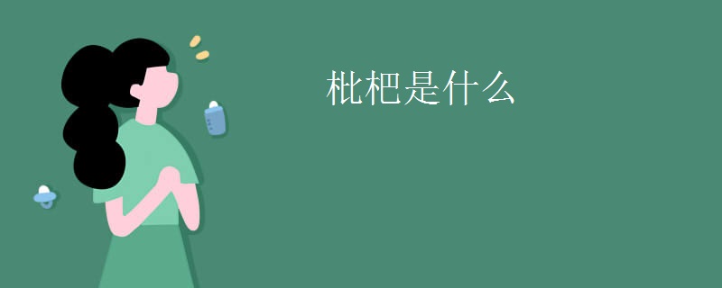 枇杷是什么