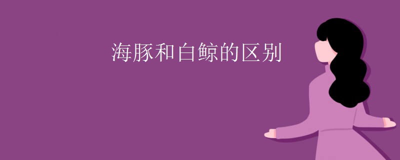 海豚和白鲸的区别
