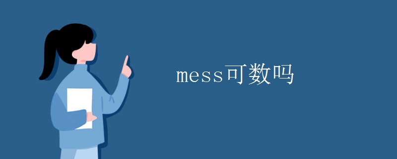 mess可数吗